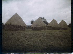 Image représentant Ile de France, Mafliers, Groupe de meules de blé