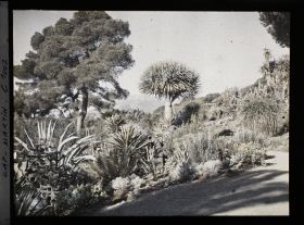 Image représentant Le Jardin