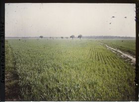 Image représentant France , Trappes (Seine et Oise), Deux Champs de blé, vue prise de la Voie ferrée