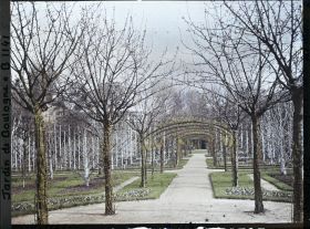 Image représentant Axe central du verger-roseraie vu en direction du jardin anglais depuis le rond-point côté dépendance