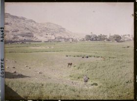 Image représentant Panorama de la campagne près d'Assiout