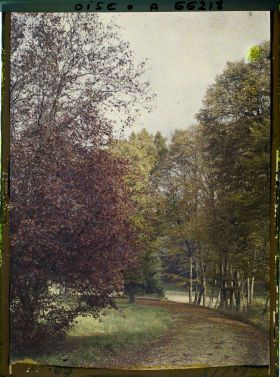 Image représentant Allée du parc du château des Fontaines