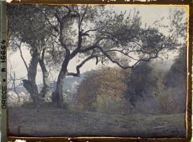 Image représentant Turquie, Mont Athos, Stravonikita, Paysage à Couthoumousson