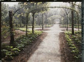Image représentant Axe central du verger-roseraie bordé de légumes, vu non loin de la dépendance en direction de l'est