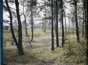Image représentant L'île des lapins, voisine de l'île Saint-Pierre
