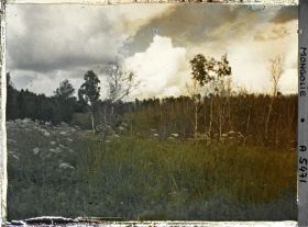 Image représentant Paysage de type sibérien