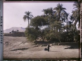 Image représentant Sur la route de Louqsor à Karnak