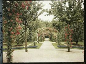 Image représentant Axe central du verger-roseraie vu en direction du jardin anglais depuis le rond-point côté dépendance