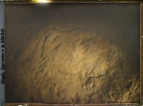 Image représentant France, Montespan (Hte Garonne), Grotte de Montespan Le Bison