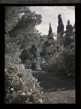 Image représentant allée partie basse du jardin