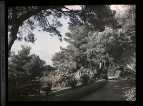 Image représentant allée aux abords de Miramar