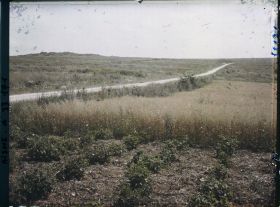 Image représentant France, Vaudesson, Chemin des Dames Fort de la Malmaison, champs d'avoine et de pommes de terre