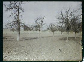 Image représentant France, Les Clayes, Champ et Pommiers