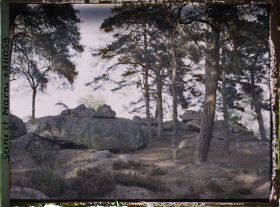 Image représentant France, Fontainebleau, Forêt de Fontainebleau