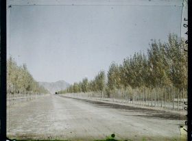 Image représentant Afghanistan, Dar-ul-Aman, La Grande Avenue vers la nouvelle Ville