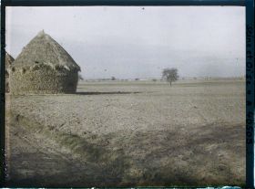 Image représentant France, Les Clayes, Champ de blé sur le bord de la grande route