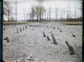Image représentant Site palafittique préhistorique des Alpes, pieux en bois visibles lors de la baisse des eaux après la grande sécheresse de 1921