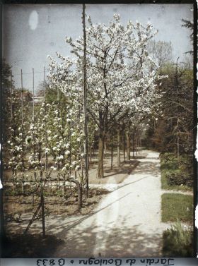 Image représentant Allée située entre le verger-roseraie et la forêt bleue, vue à mi-chemin en direction de l'ouest