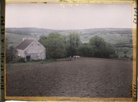 Image représentant Ile de France, Vetheuil, Champ ensemencé de betteraves