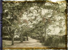 Image représentant La route d'Adjohoun