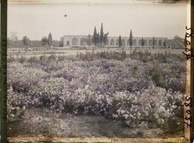 Image représentant Le jardin public et la façade du Palais des Gouverneurs