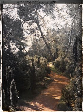 Image représentant Cap Martin - Le Jardin