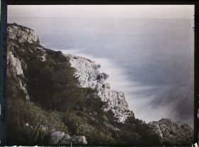 Image représentant Végétation sur une partie du rivage abrupt et rocheux du cap Martin, vu en direction du sud-est