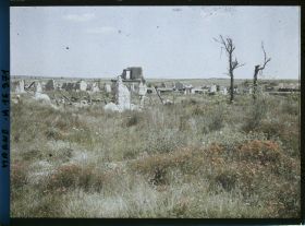 Image représentant France, Beine, Le Village de Beine Coquelicots au 1er plan