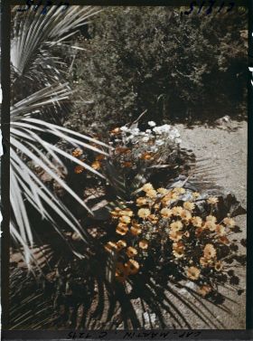 Image représentant le Jardin