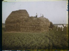 Image représentant Seine et Marne, Vaires, Paysans entassant le fourrage
