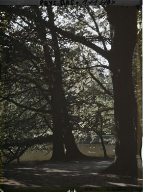 Image représentant Les bords d'un canal ou d'une pièce d'eau dans un parc