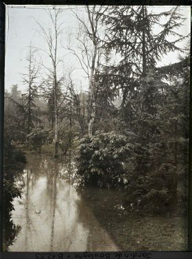 Image représentant inondation dans la forêt bleue