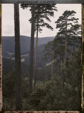 Image représentant Bavière, Baden-Baden, Environs de Baden-Baden (Forêt noire)