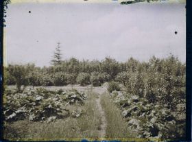 Image représentant Ile de France, Sarcelle St Briec, Verger