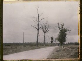 Image représentant France, Bois Brûlé, Aspect de la route de St Mihiel à la hauteur de la Tête-à-Vache