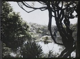 Image représentant Hibiya-koen (parc de Hibiya) : l'étang Shinkei