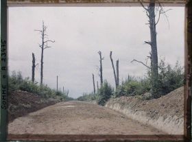 Image représentant France, Ablaincourt, Ancienne route rétablie dans le bois de Pressoir