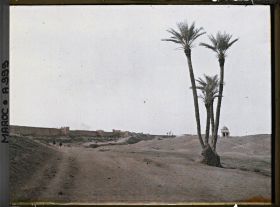 Image représentant Les remparts de la ville vus depuis la palmeraie