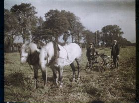 Image représentant Ile de France, Mafliers, Charrue attelée pour l'arrachage des pommes de terres