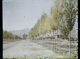 Image représentant Afghanistan, Dar-ul-Aman, La Grande Avenue vers la nouvelle Ville et le Palais du Gouvernement