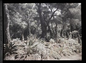 Image représentant le Jardin