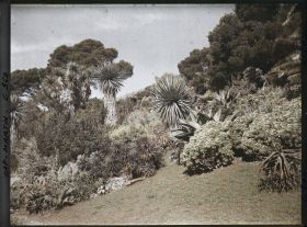 Image représentant Le Jardin