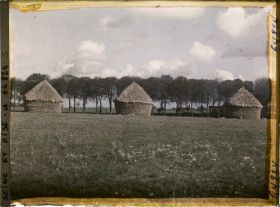 Image représentant Seine et Oise, Moisselles, Groupe de meules de blé en bordure d'une allée d'arbres
