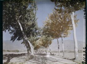 Image représentant Afghanistan, Kaboul, La route de Paghman Kaboul, effet d'automne