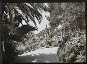 Image représentant le Jardin