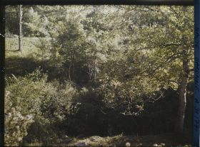 Image représentant L'entrée de la grotte