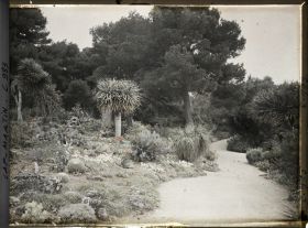 Image représentant Le Jardin