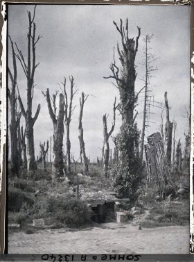 Image représentant France, Chaulnes, Ensemble du Chau et du Parc