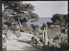 Image représentant Une allée de plantes donnant sur la mer