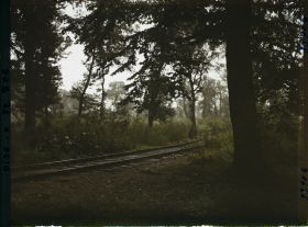 Image représentant Carrefour de l'armistice, emplacement du train des plénipotentiaires allemands